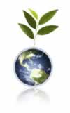 Gaia Plant